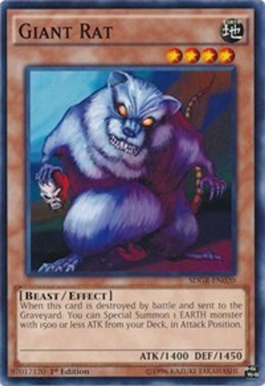 Giant Rat | SDGR-EN020